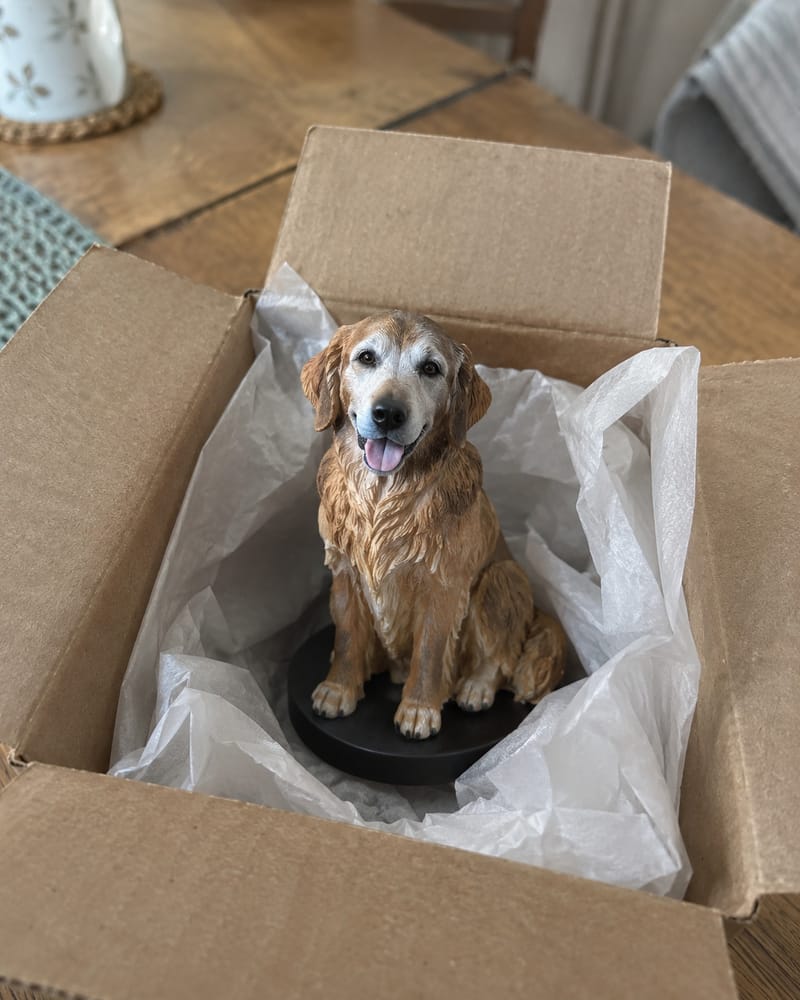 The finished hand-painted golden retriever figure in a small gift box